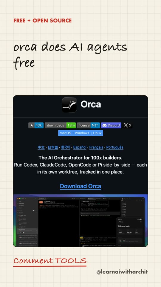 orca